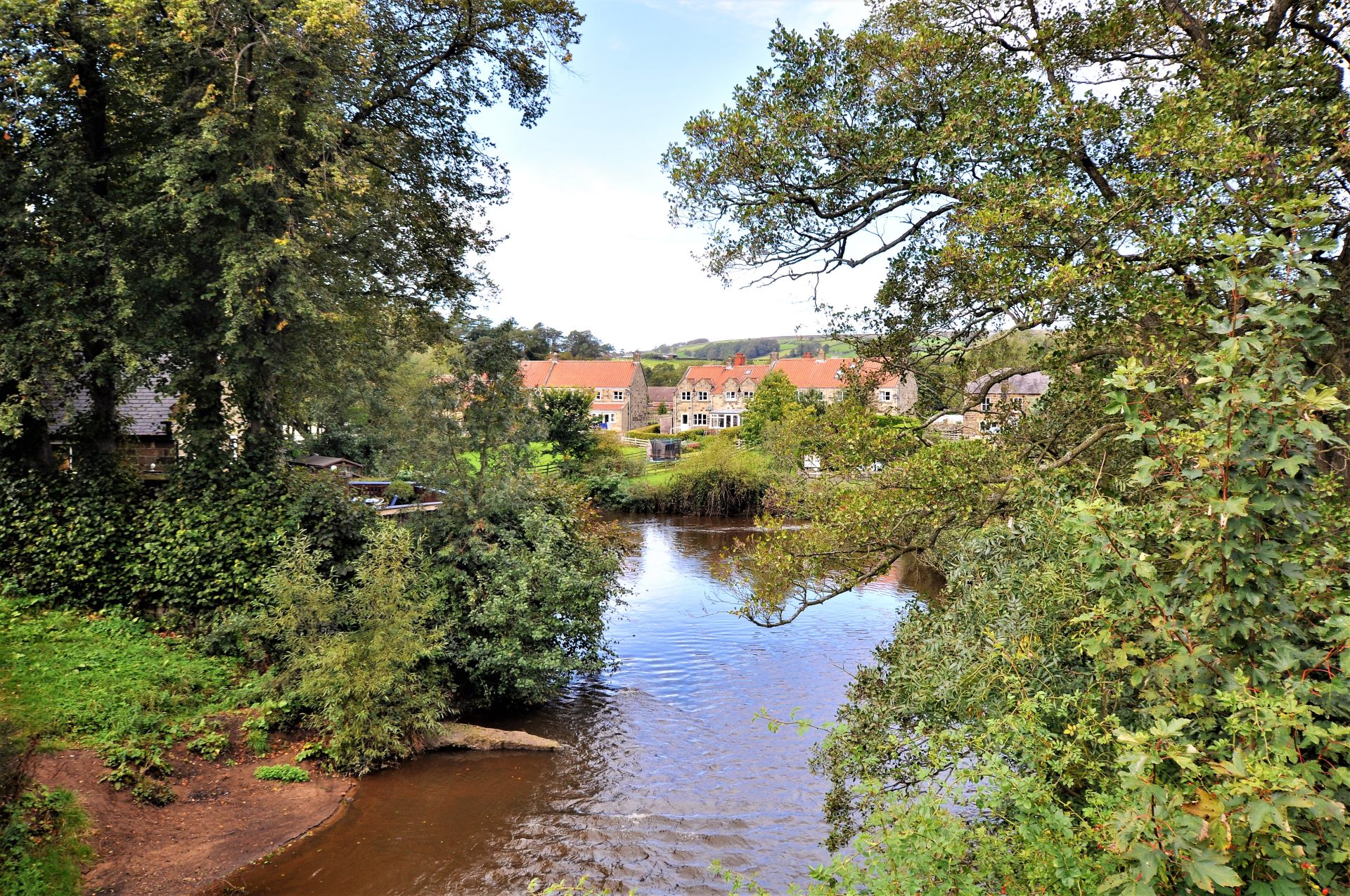 Cottages, Lealholm Hope & Braim Estate Agents